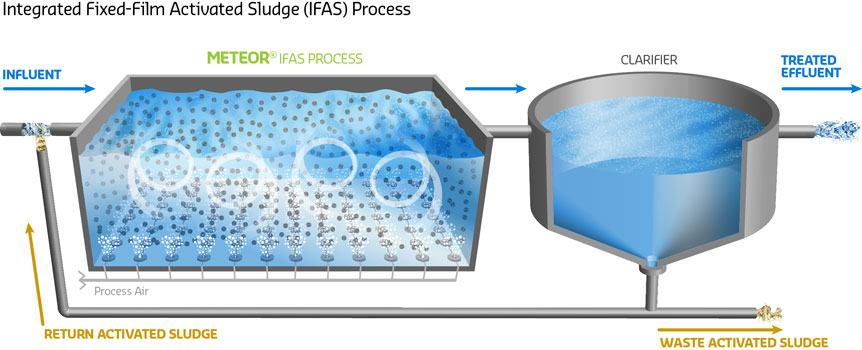 Meteor-Ifas.png.